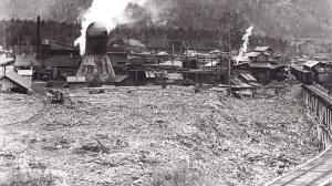 /images/3/trestle.view.jpg - 11645 Bytes